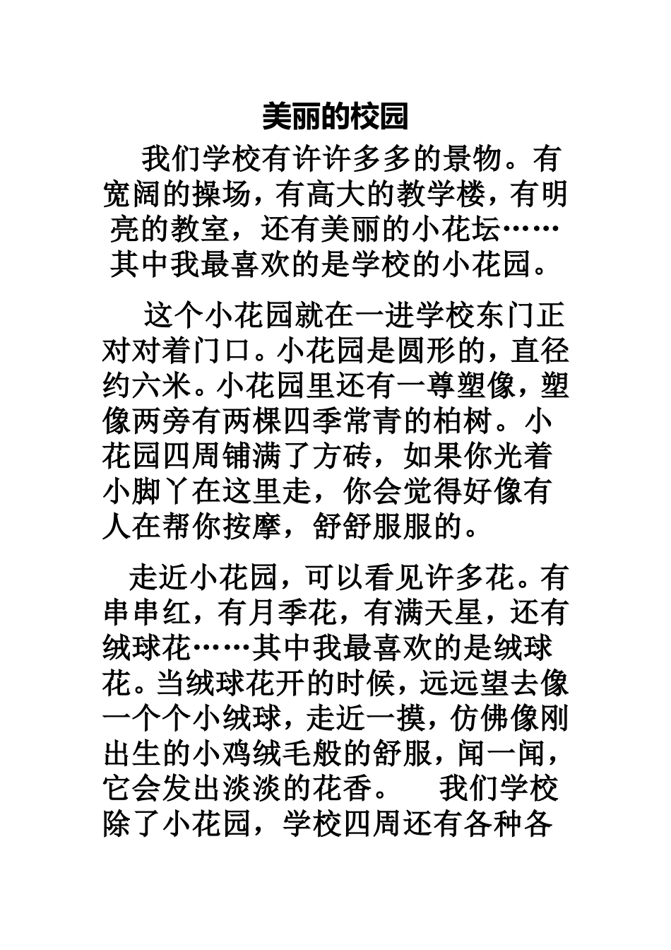 美丽的小花园_第1页