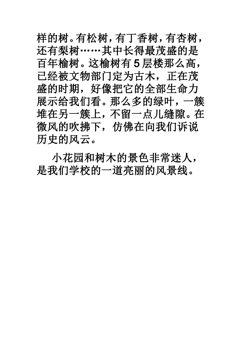 美丽的小花园_第2页