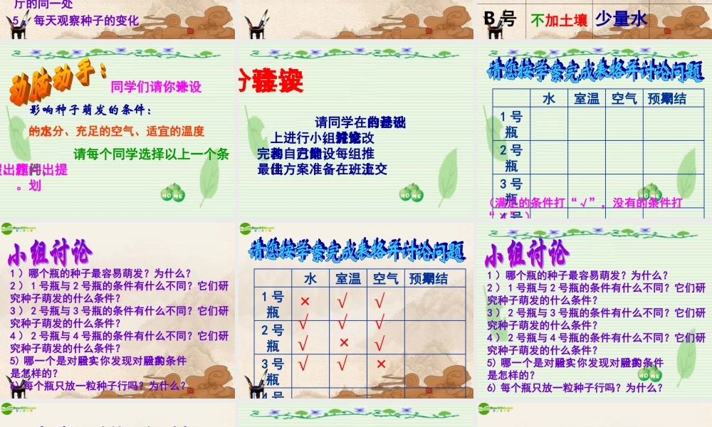 七年级生物上册(探究种子萌发的条件)课件 人教新课标版 课件