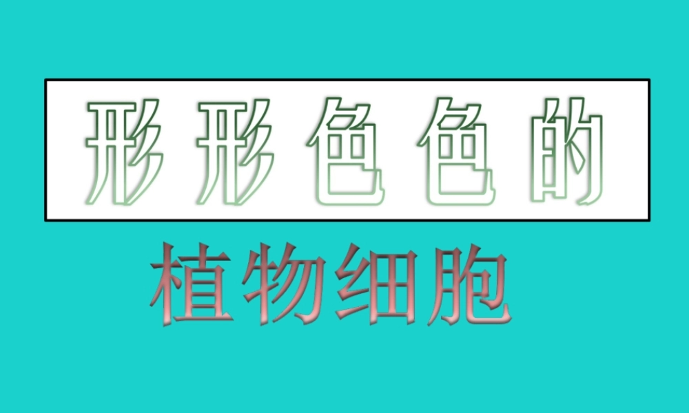 七年级生物上册 第二单元 第三章 第1节 细胞的基本结构和功能 形形色色的植物细胞课件 北师大版 课件