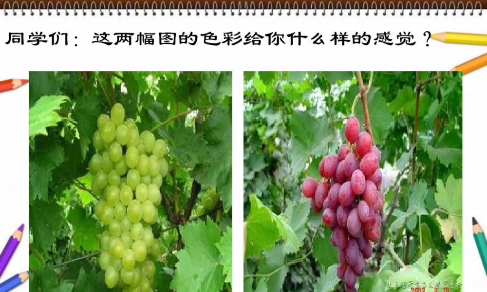 讲课画一幅色彩和谐的画