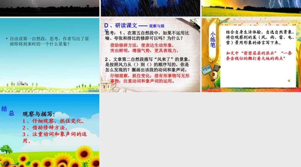 教科版五年级语文《雷雨》PPT