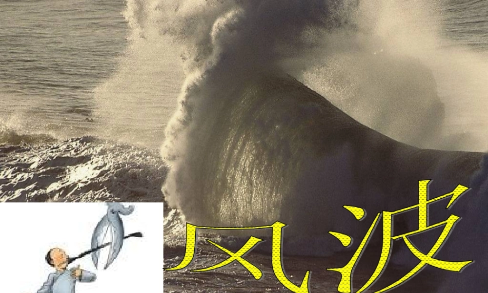 九年级语文下册 第五单元第17课(风波)课件 鄂教版 课件