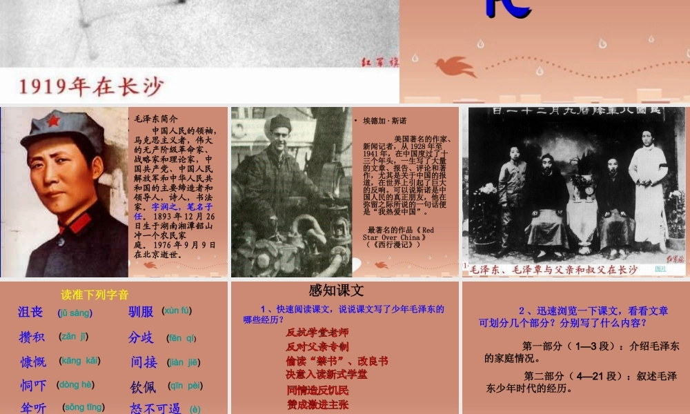 中学七年级语文下册 6 毛泽东的少年时代课件 语文版 课件