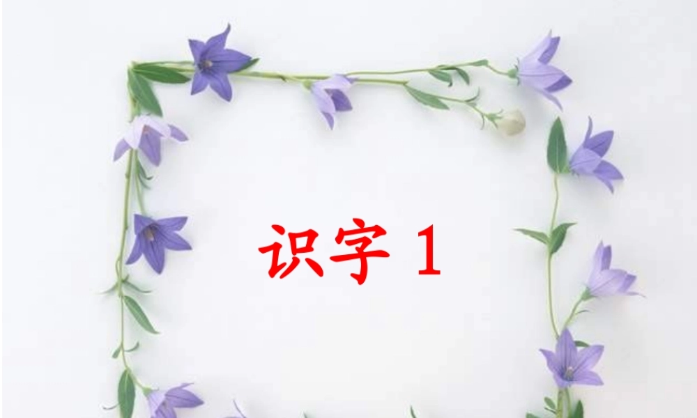《识字1》课件
