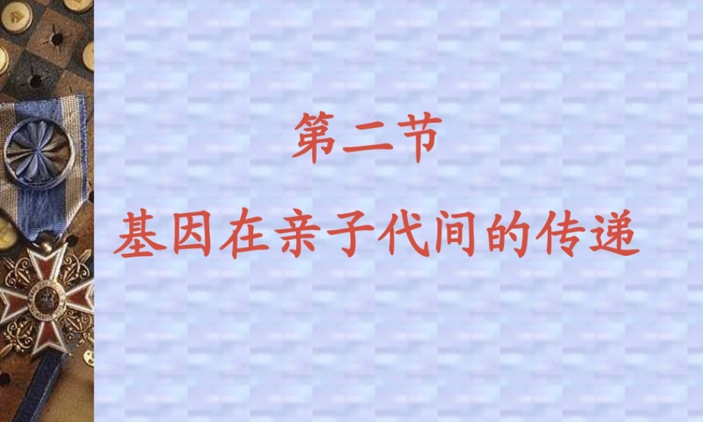 基因在亲子间的传递八年级生物课件示例 课件