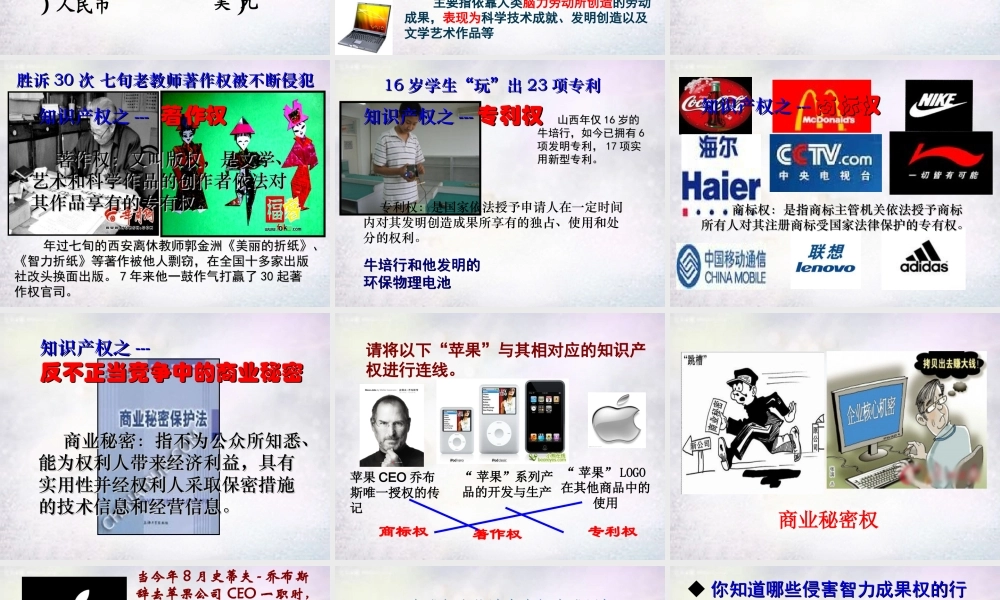 八年级政治下册 第七课 第3框 无形的财产课件2 新人教版 课件