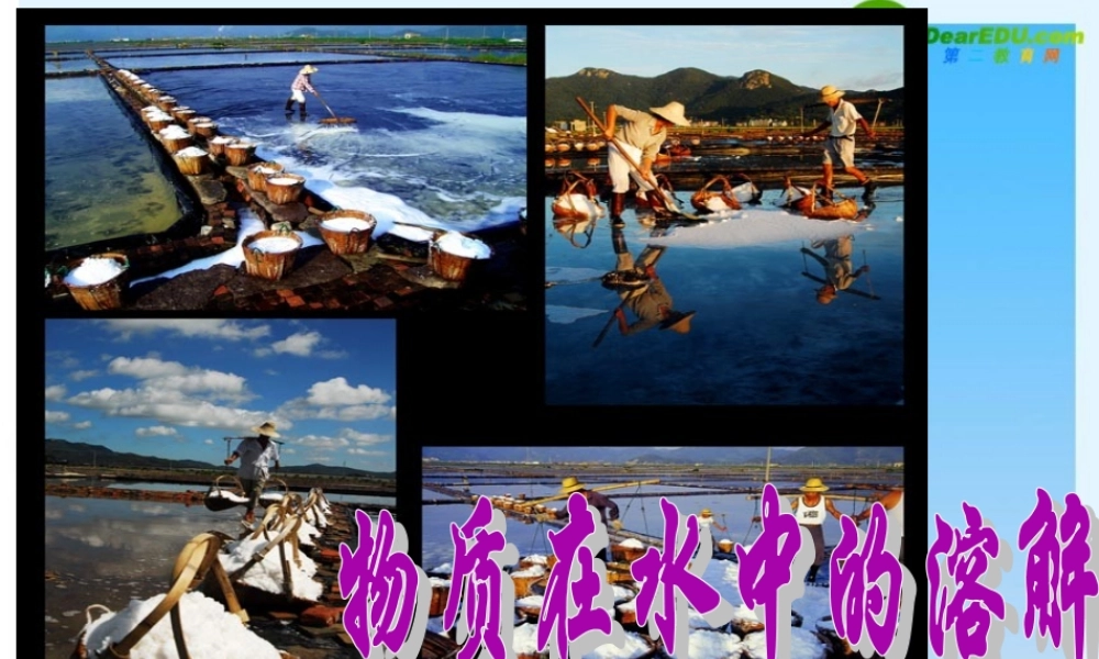 八年级科学上册 物质在水中的溶解课件 浙教版 课件