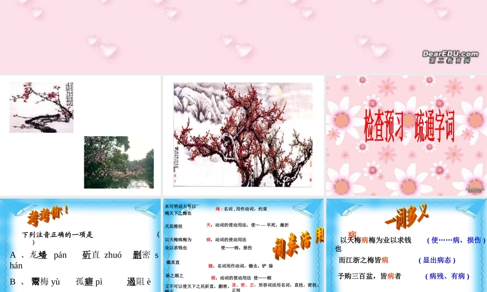 新课标高一语文病梅馆记 龚自珍 课件