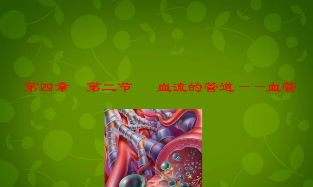 七年级生物下册 第四单元 第四章 第2节 血流的管道—血管课件2 新人教版 课件