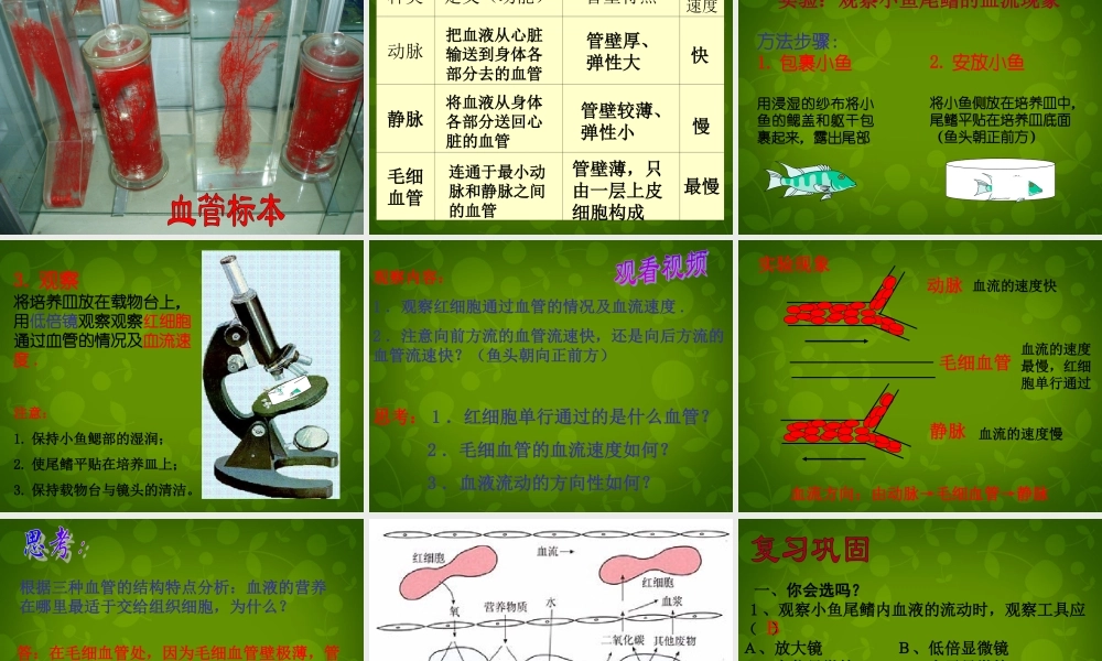 七年级生物下册 第四单元 第四章 第2节 血流的管道—血管课件2 新人教版 课件