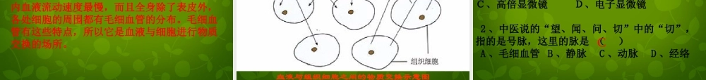 七年级生物下册 第四单元 第四章 第2节 血流的管道—血管课件2 新人教版 课件