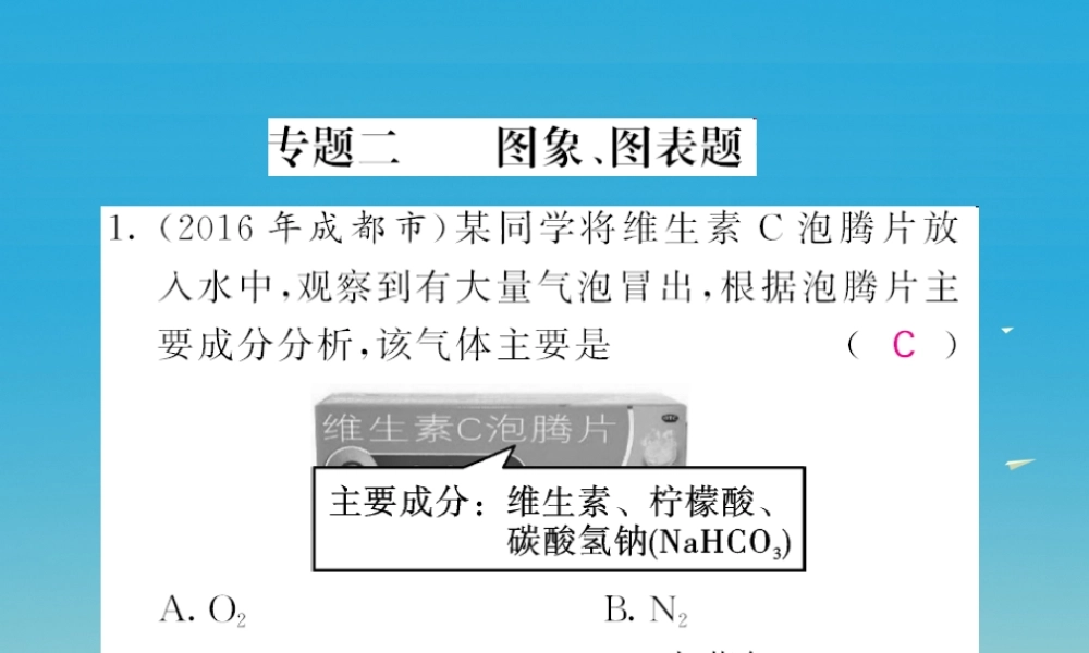 春中考化学总复习 第二轮复习 专题训练 提升能力 专题二 图象、图表题习题课件 新人教版 课件