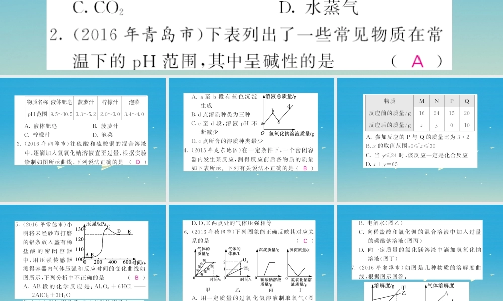 春中考化学总复习 第二轮复习 专题训练 提升能力 专题二 图象、图表题习题课件 新人教版 课件
