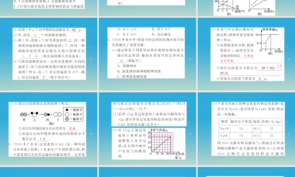 春中考化学总复习 第二轮复习 专题训练 提升能力 专题二 图象、图表题习题课件 新人教版 课件