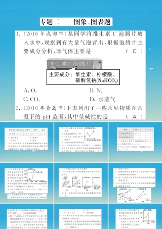 春中考化学总复习 第二轮复习 专题训练 提升能力 专题二 图象、图表题习题课件 新人教版 课件