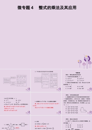 七年级数学下册 第2章(整式的乘法)微专题4 整式的乘法及其应用习题课件 (新版)湘教版 课件
