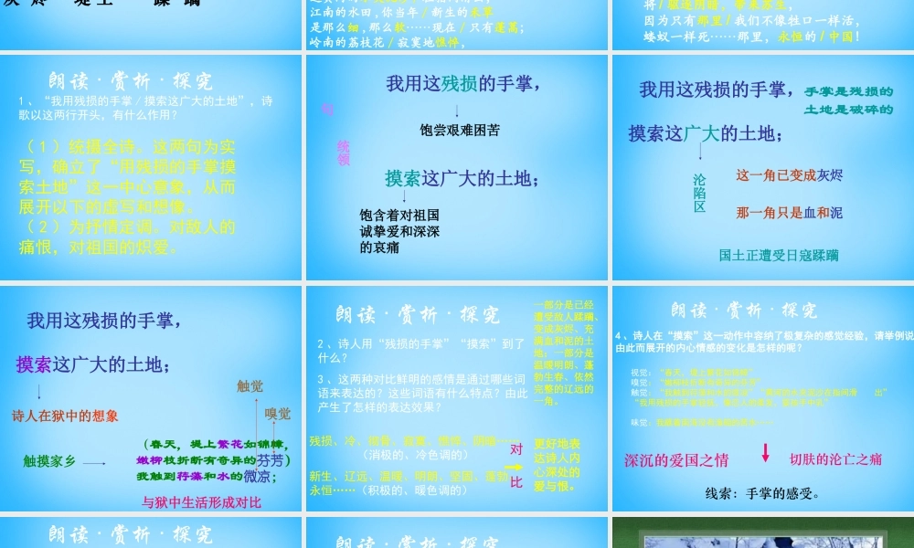 九年级语文下册 第2课(我用残损的手掌)课件 新人教版 课件