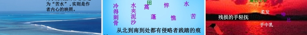九年级语文下册 第2课(我用残损的手掌)课件 新人教版 课件