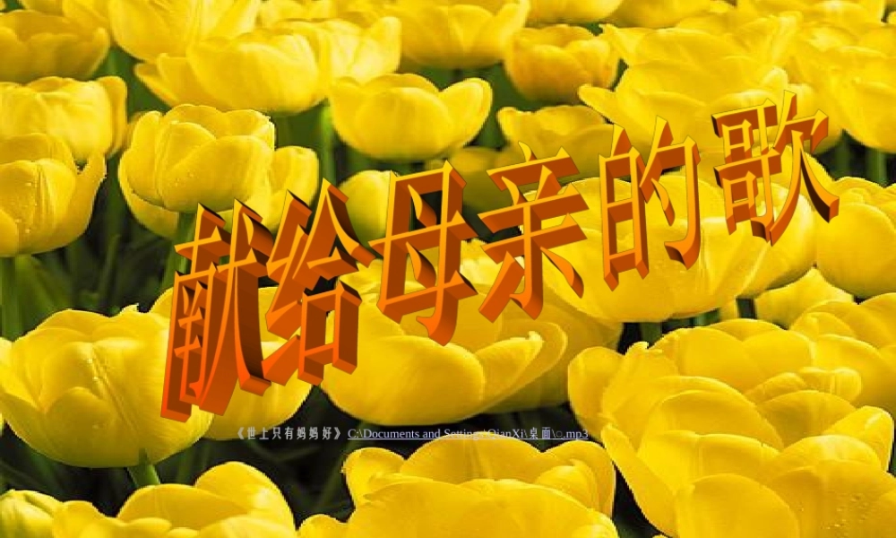 八年级语文献给母亲的歌课件 人教版 课件