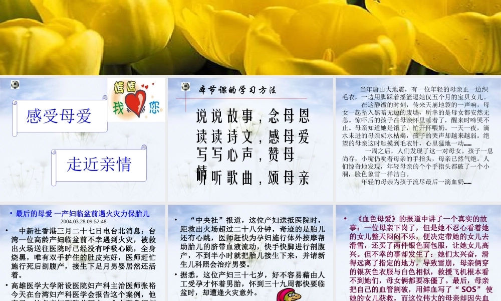 八年级语文献给母亲的歌课件 人教版 课件