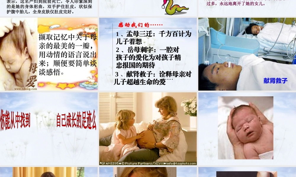 八年级语文献给母亲的歌课件 人教版 课件