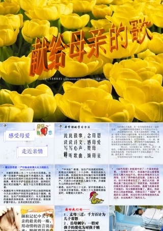 八年级语文献给母亲的歌课件 人教版 课件