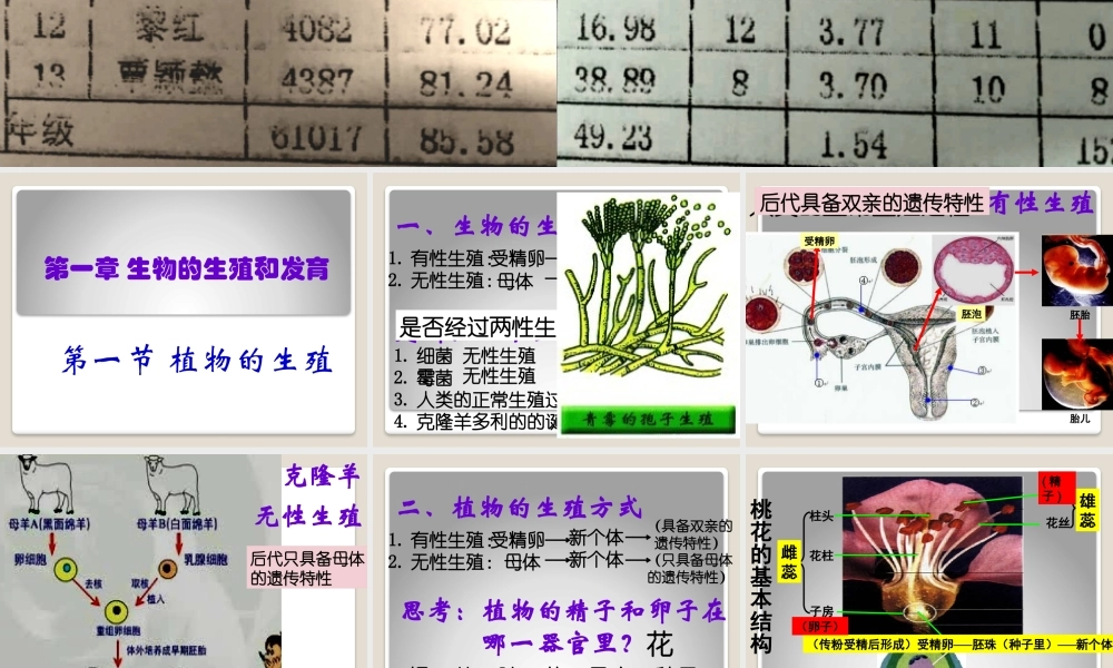 植物的生殖课件