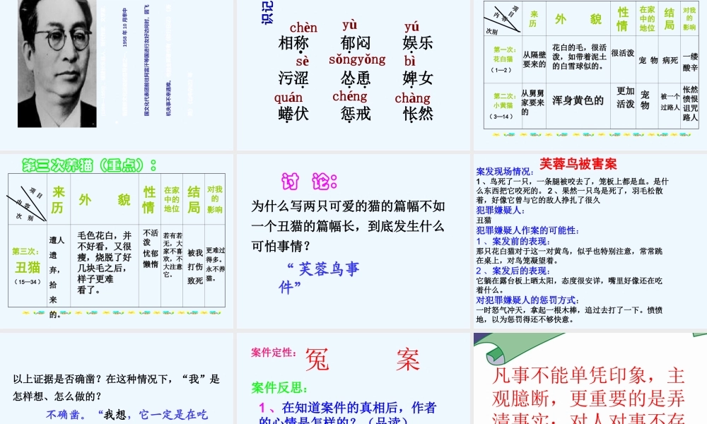 (部编)初中语文人教2011课标版七年级上册猫-第一课时