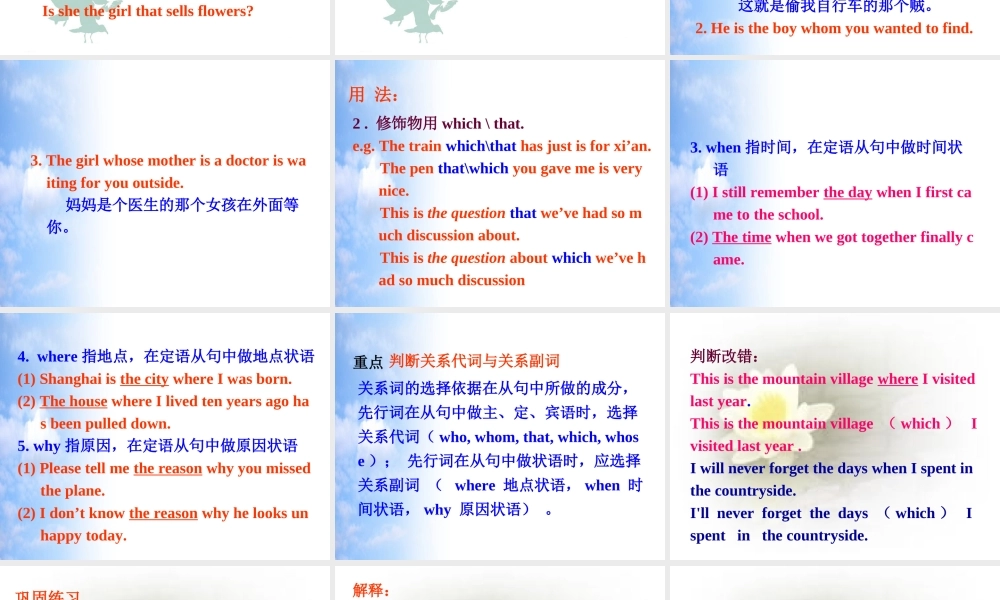 中考复习——定语从句