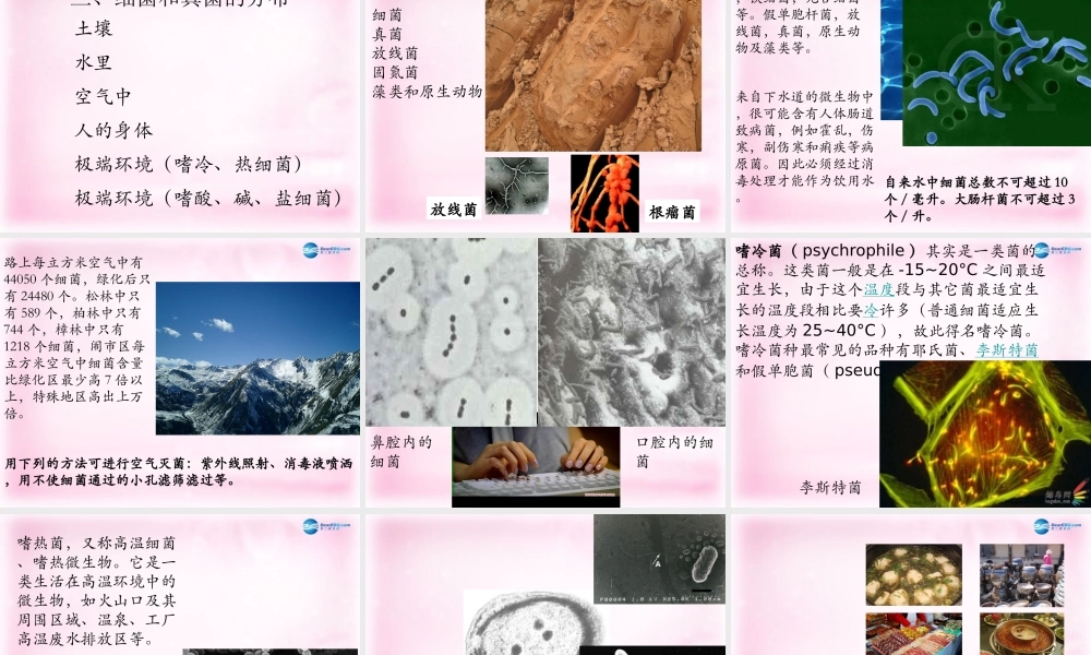 八年级生物上册 第五单元 第四章 第一节 细菌和真菌的分布课件 新人教版 课件