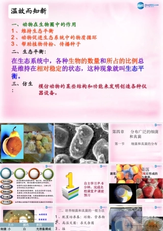 八年级生物上册 第五单元 第四章 第一节 细菌和真菌的分布课件 新人教版 课件