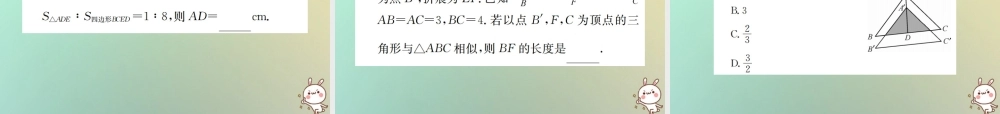 九年级数学下册 第二十七章 相似章末复习(二)习题课件 (新版)新人教版 课件