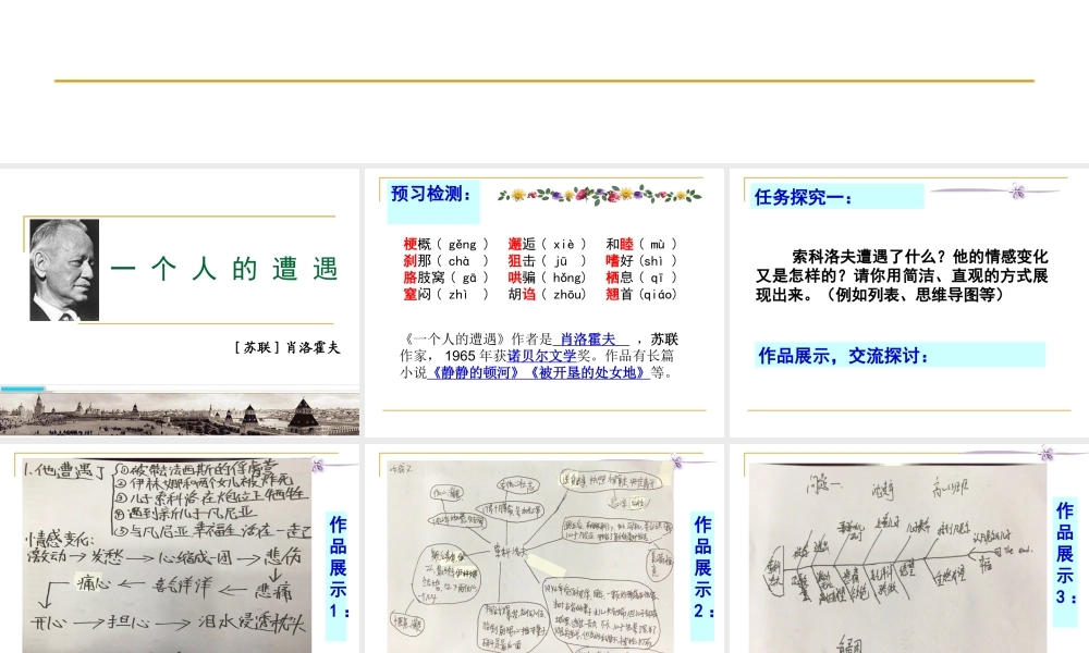 一个人的遭遇(节选)