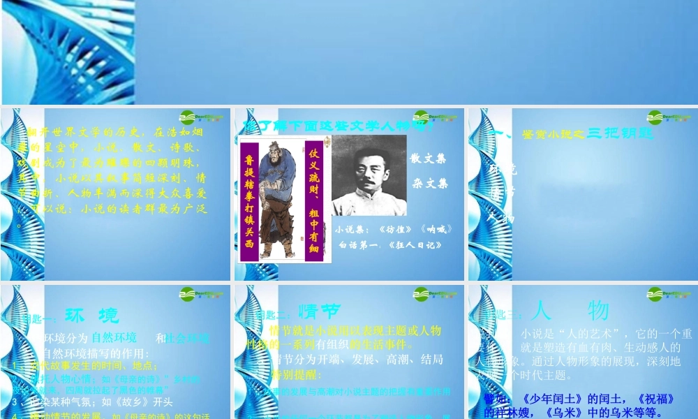 九年级语文上册 (小说阅读指导之小说人物形象分析)教学课件 人教新课标版 课件