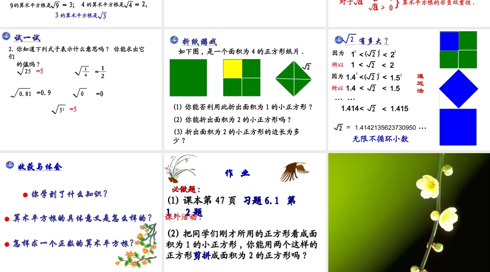 算术平方根课件