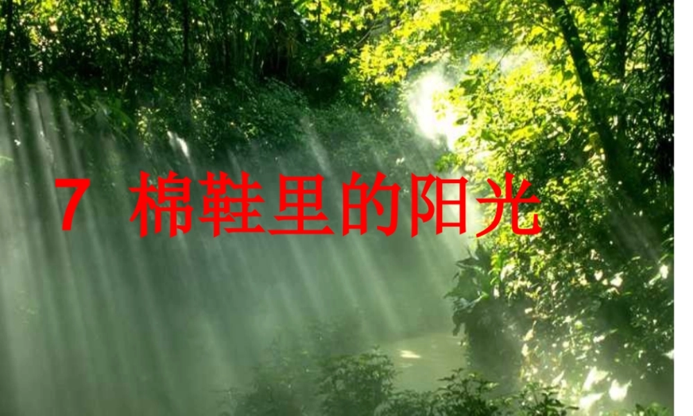 棉鞋里的阳光1.PPT