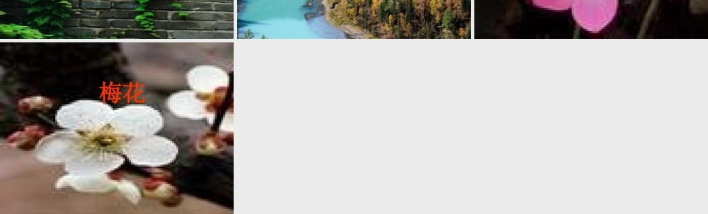 棉鞋里的阳光1.PPT