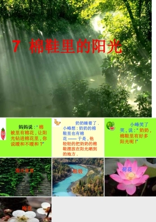 棉鞋里的阳光1.PPT