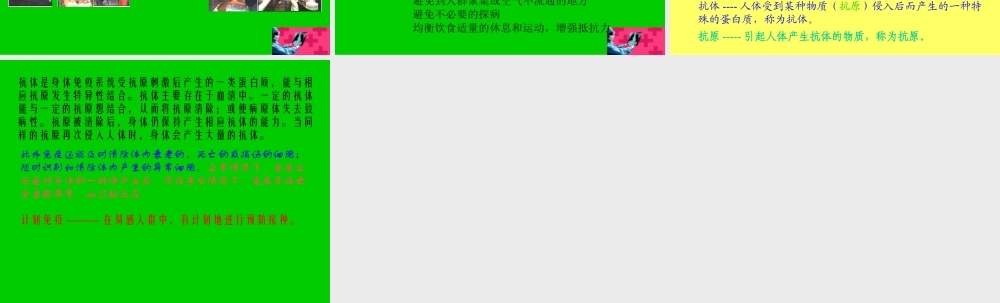 七年级生物下册(健康地生活)flahs素材1 北师大版下 素材