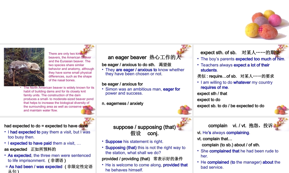 《大学英语课件》