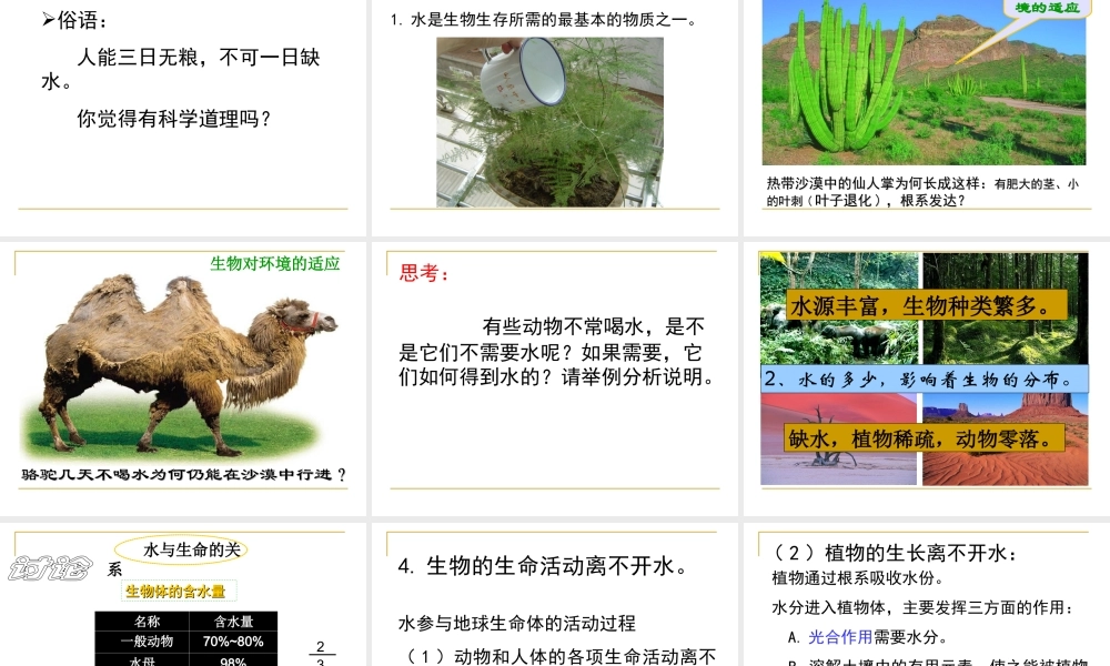 八年级地理 水在哪里课件