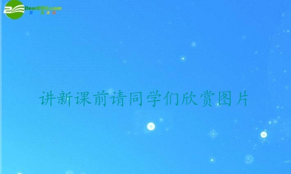 八年级政治下册 第十一课(关心社会 亲近社会)第一框课件 鲁教版 课件