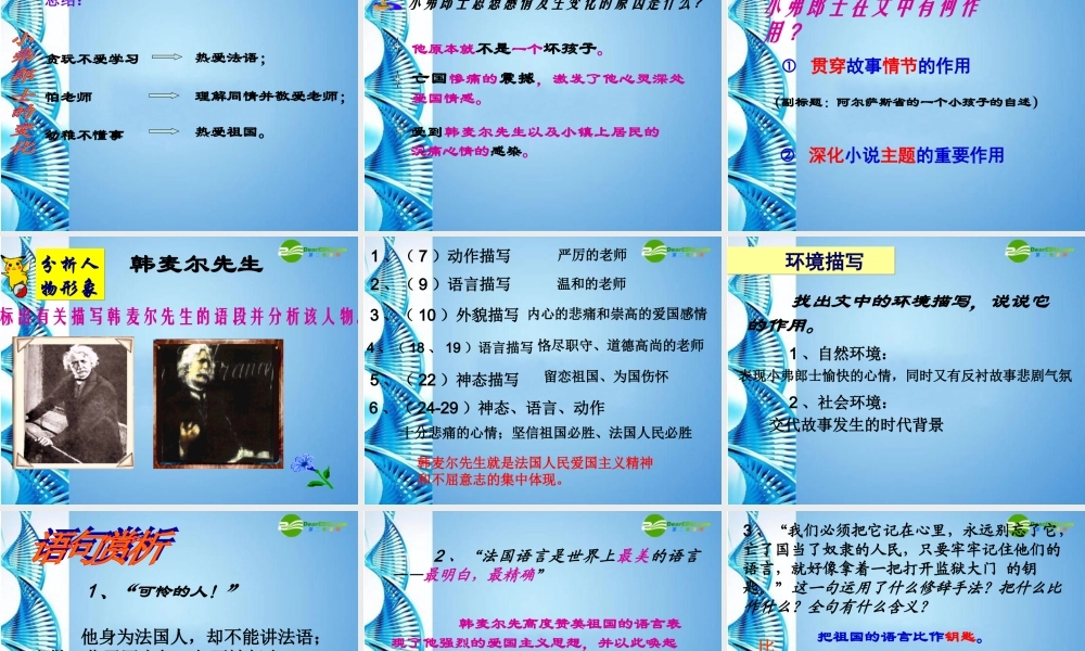 七年级语文下册(最后一课)课件 北师大版 课件