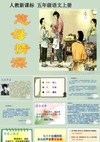 《慈母情深》教学课件1