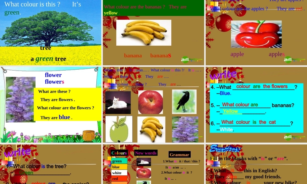 七年级英语上册 Starter Module 3 Unit 1 What colour is the apple(一)课件 外研版 课件
