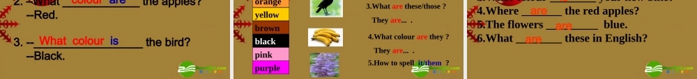 七年级英语上册 Starter Module 3 Unit 1 What colour is the apple(一)课件 外研版 课件