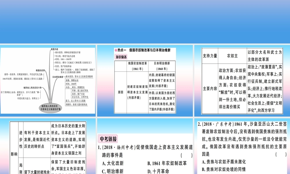 九年级历史下册 第一单元 殖民地人民的反抗与资本主义制度的扩展小结习题课件 新人教版 课件