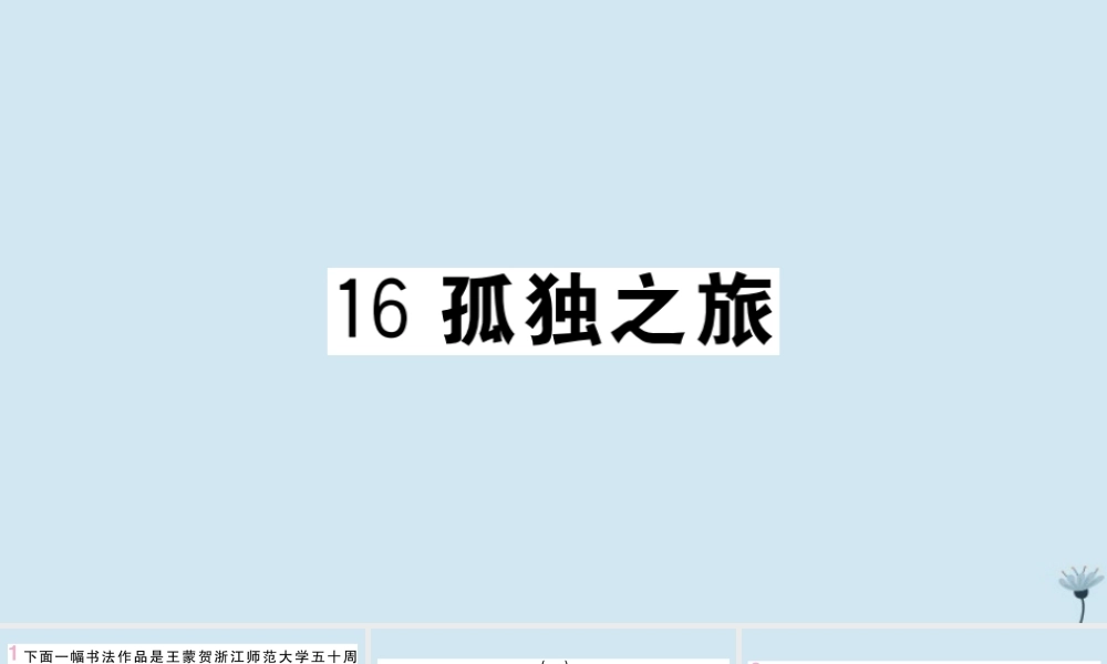 九年级语文上册 第四单元 16 孤独之旅作业课件 新人教版 课件