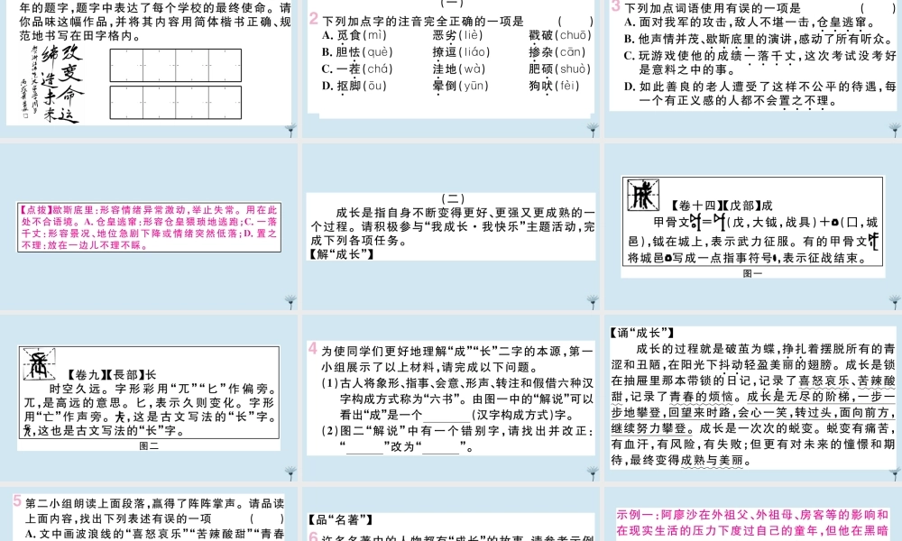 九年级语文上册 第四单元 16 孤独之旅作业课件 新人教版 课件